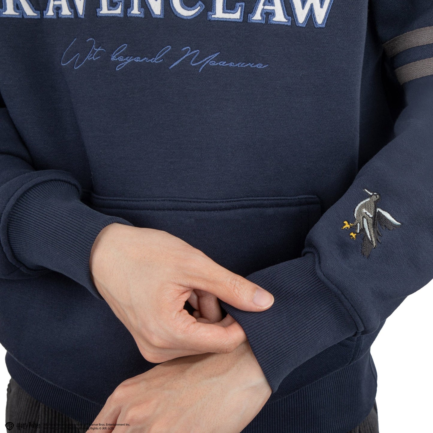 *Sweat à capuche Serdaigle