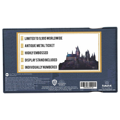 Ticket collector Harry Potter - Hogwarts Express Train