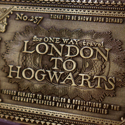 Ticket collector Harry Potter - Hogwarts Express Train