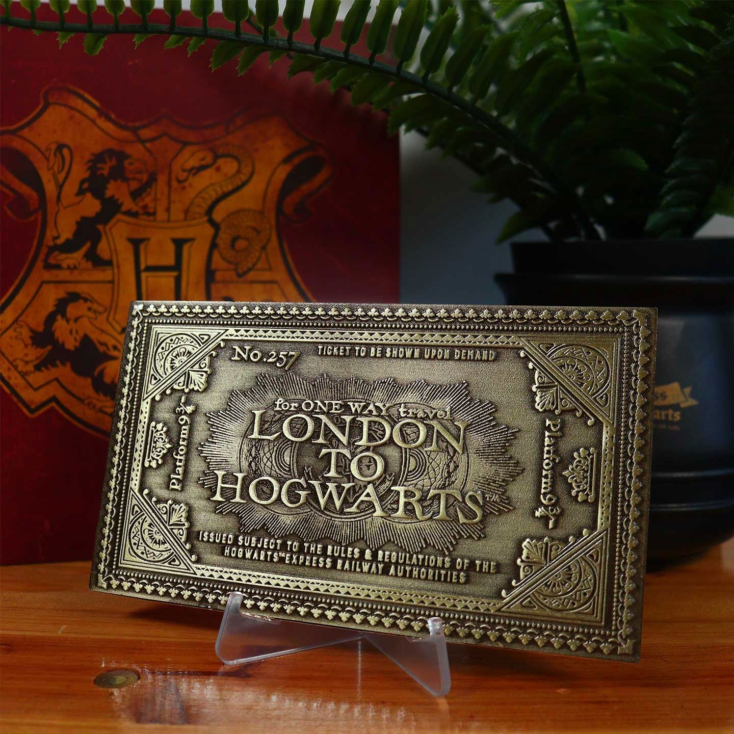 Ticket collector Harry Potter - Hogwarts Express Train
