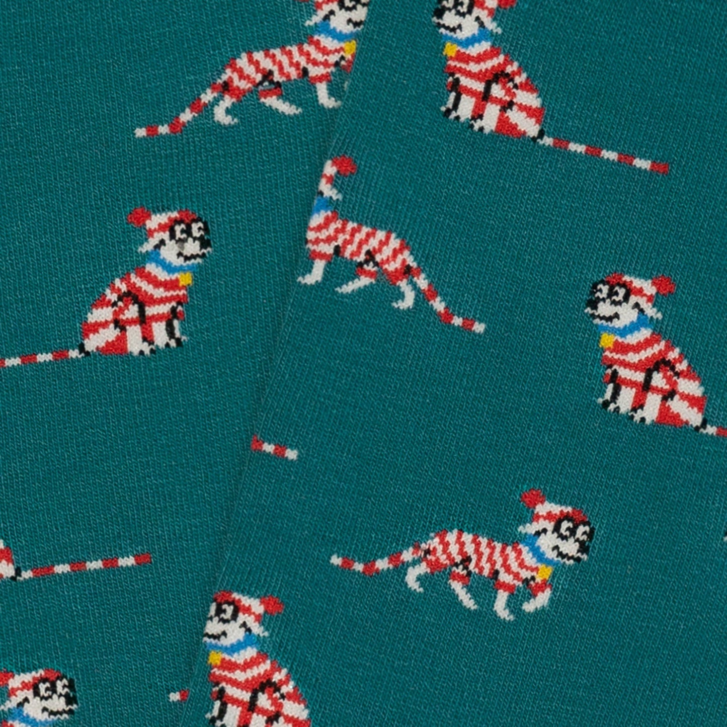 Socken von Charlies Hund