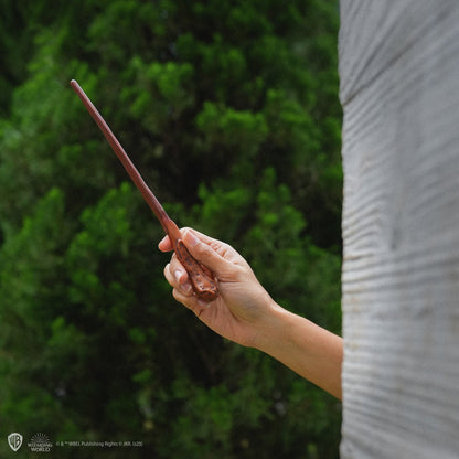 *Stylo baguette avec socle & marque-page lenticulaire Ron Weasley
