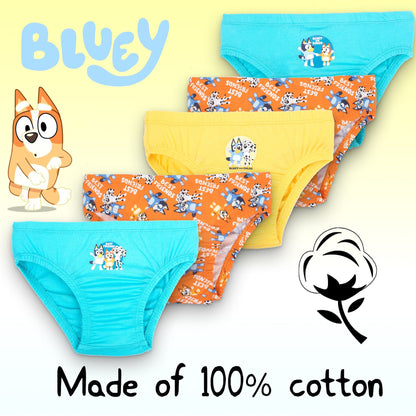 Underwear – Bluey