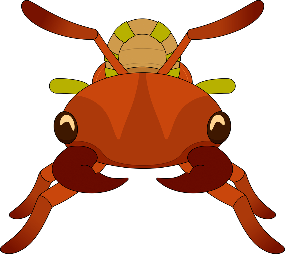 Rote Ameise Buggy Plüsch (23cm)
