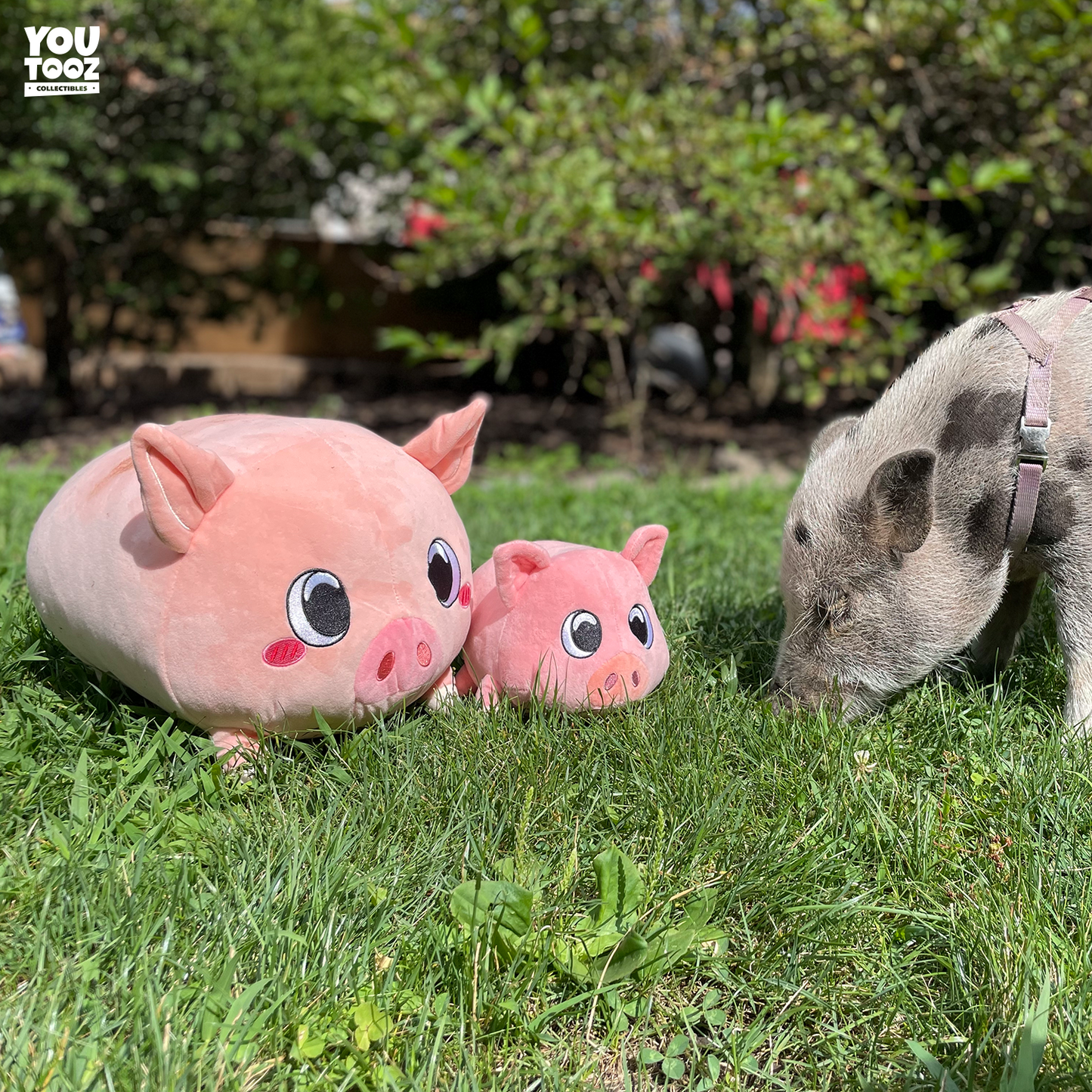 Schweinchen-Kissen (30 cm)