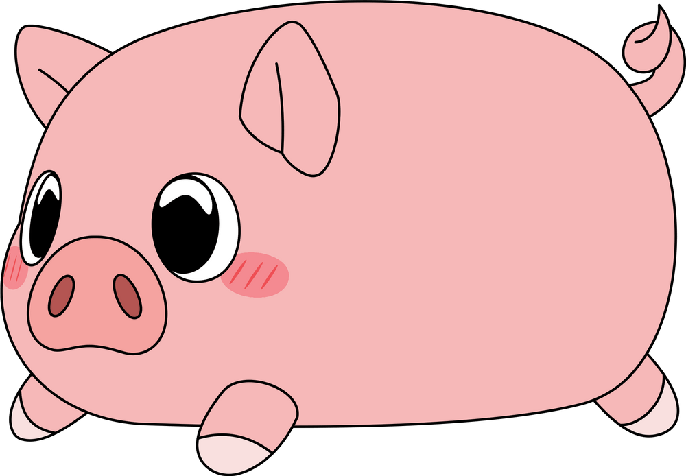 Schweinchen-Kissen (30 cm)