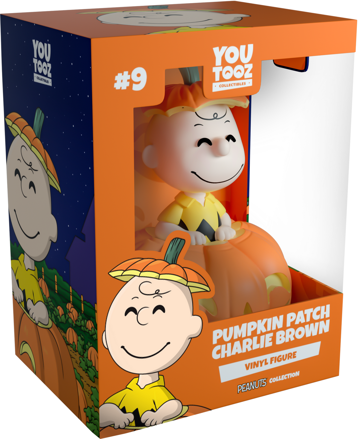 Kürbisbeet Charlie Brown 