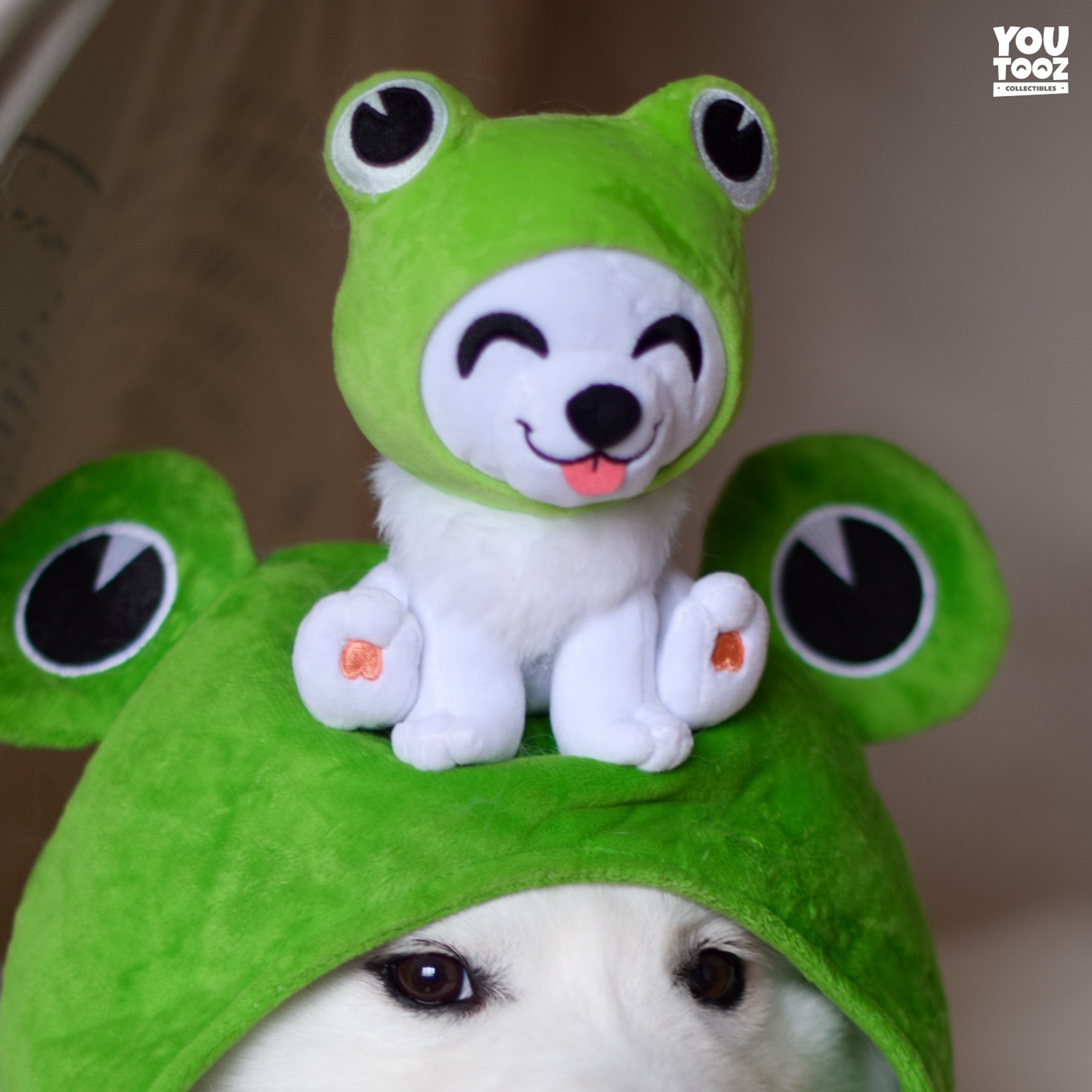 Shiro Froggy Plush (6in)