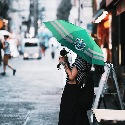 Slytherin-Regenschirm