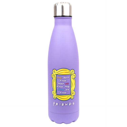 Gourde en acier inoxydable – Friends 750ml – violet