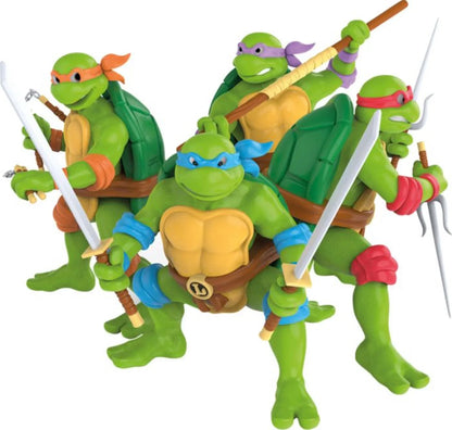 Ninja Turtles – Cowabumga-Set