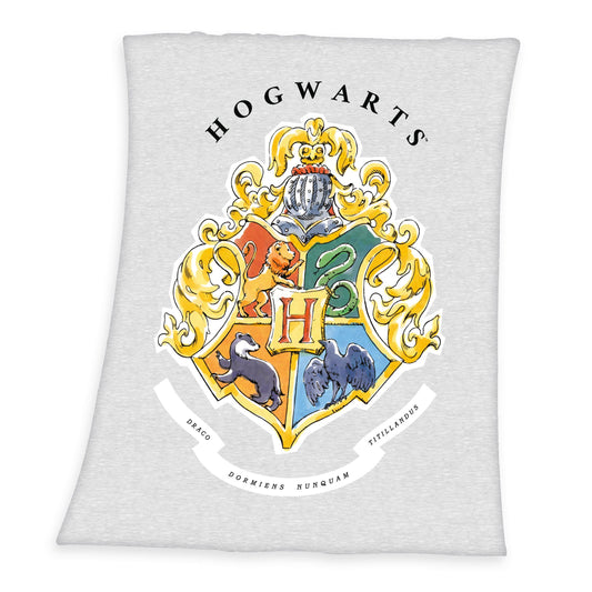 Couverture Harry Potter - Hogwarts