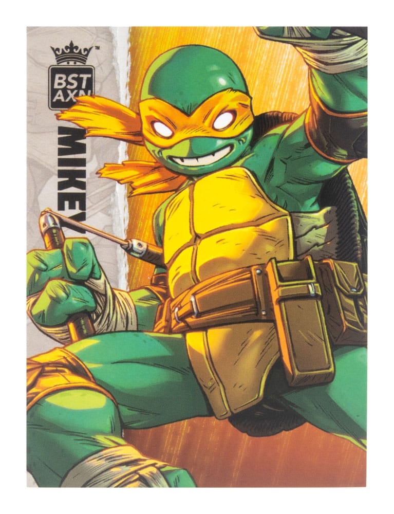 BST AXN Michelangelo (IDW Comics)