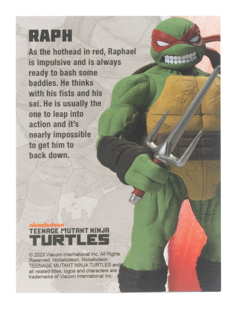 BST AXN Raphael (IDW Comics)